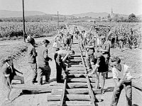 Pionirska željeznica, postavljanje, Dubrava 1947. godine  Prva 'pionirska' željeznica na našim prostorima izgrađena je u Zagrebu, u Maksimiru 1947.godine. Polazna postaja bila je na jugoistočnom dijelu parka (iza poljoprivredno-šumarskog fakultetskog dobra), odakle je pruga vodila prema sjeveroistoku. Prolazila je kroz Maksimirsku šumu, prelazila potok Bliznec, pa Štefanovec, nastavivši pored korita potoka dalje do krajnje postaje 'NO Hrvatske'.